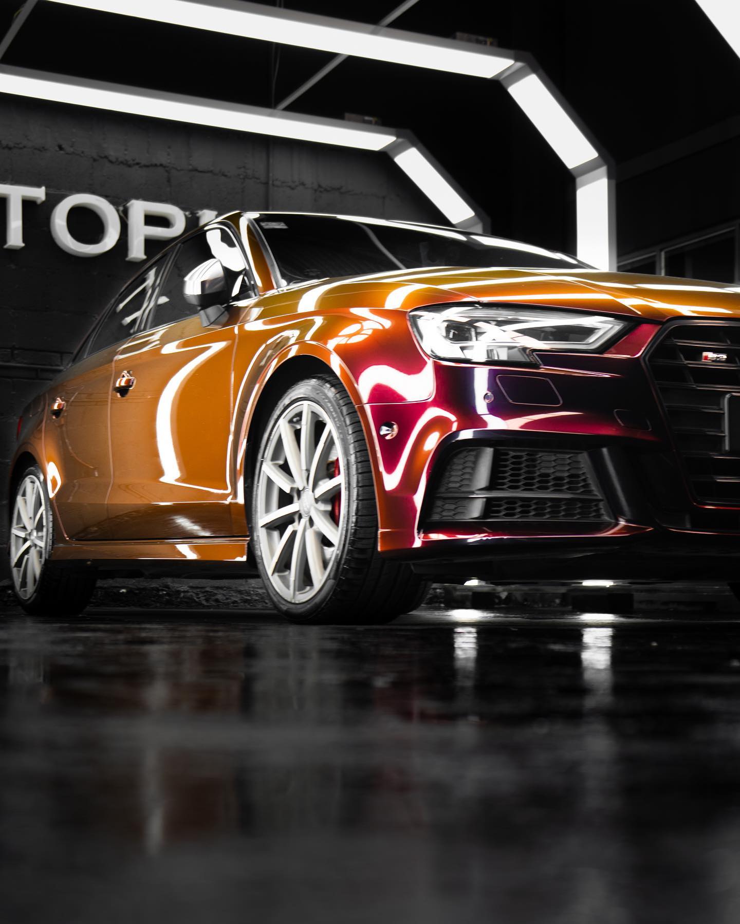 xtopus 2023, el mejor wrap 2023, wrapping 2023, wrap morelia 2023, wrapping morelia 2023